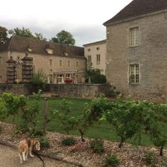 180824 Chateau Gigny sur Saone (13)